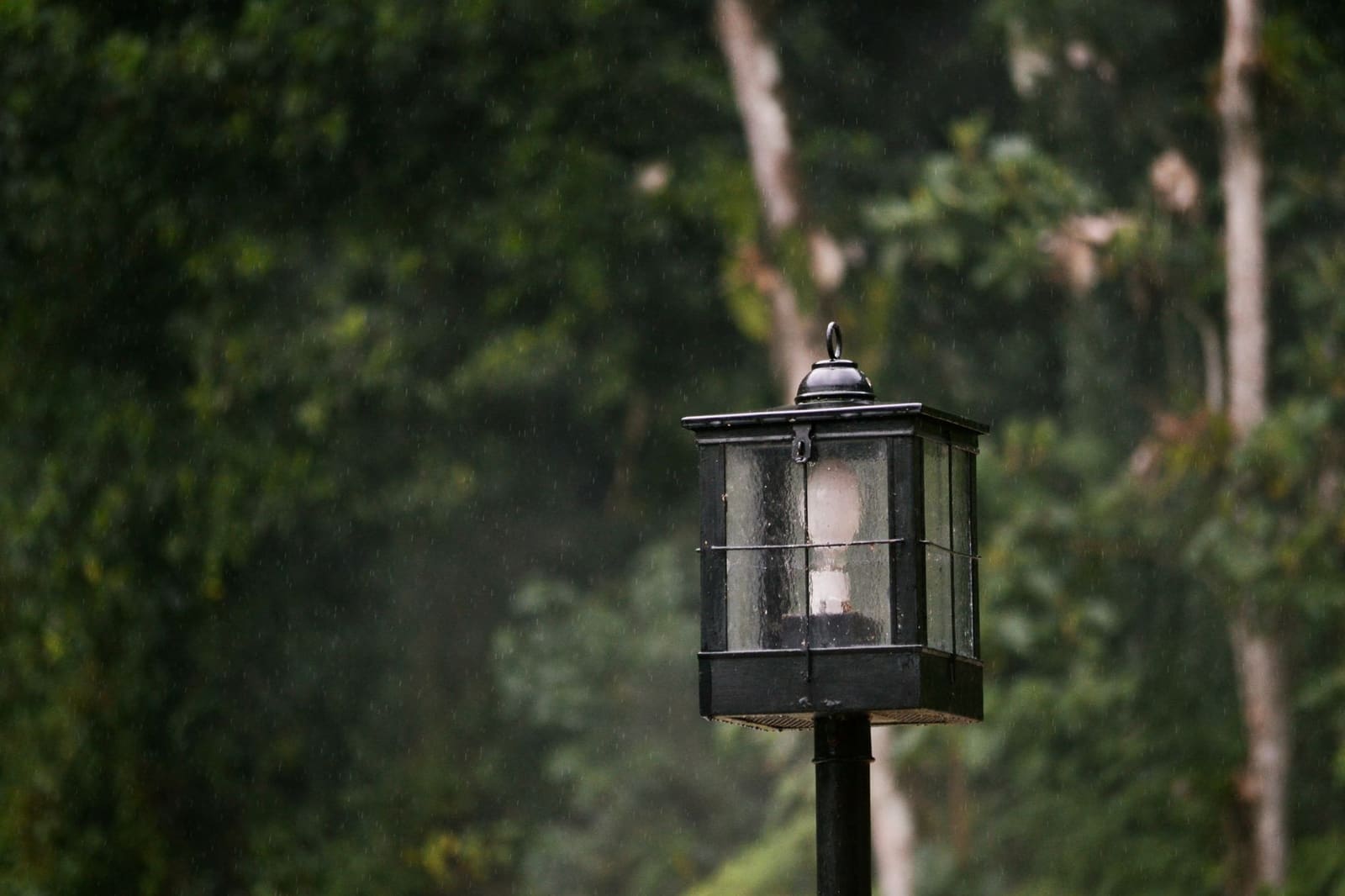 Zwarte lantaarn op een paal in de stromende regen, met bomen op de achtergrond