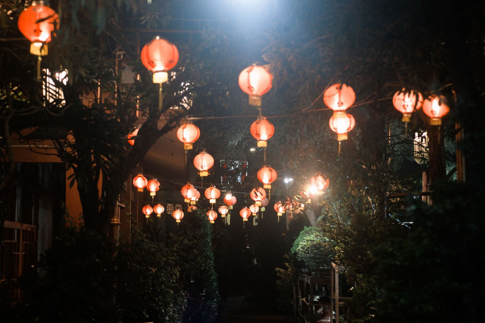 Rode lampionnen aan snoeren boven een tuin in het donker